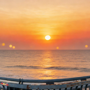 巷子里的小爱\(//∇//)\