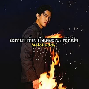 ลมหนาวที่เผาใจเดอะเบสท์มิวสิค