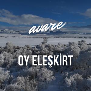 Oy Eleşkirt