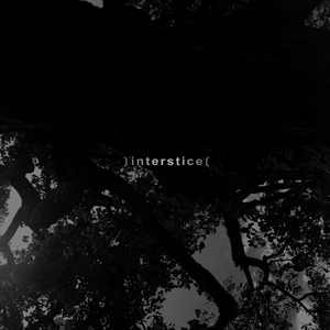 Plasticity