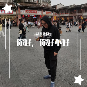 你好，你好不好