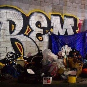 Trash director and sbwangyichen