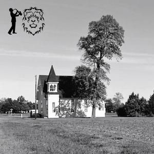 Elon Can Catch These Hands