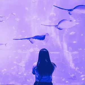 抚慰的深度专注回忆