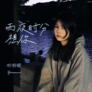 雨夜时分想你