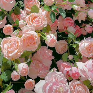 多远都要在一起