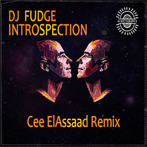Introspection (Cee ElAssaad Introspective Remix)