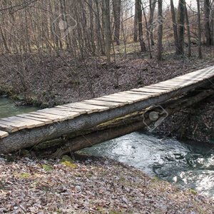 Just Across the Brook ...