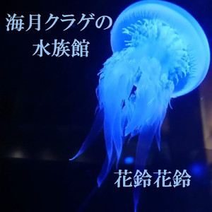 海月クラゲの水族館
