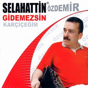 Toprağını Öpeyim Ana