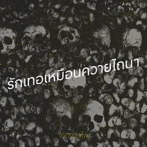 รักเทอเหมือนควายไถนา