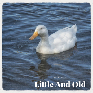 Little And Old (Radio Edit)