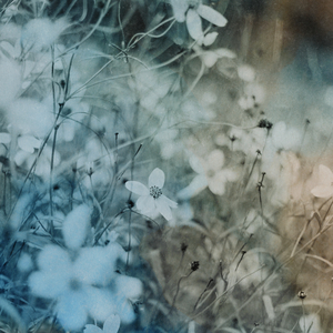 Reincarnation (rain)