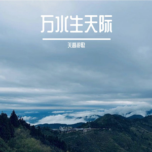 树叶间的雨水和鸟鸣