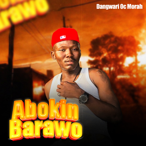 Abokin Barawo (Cover)