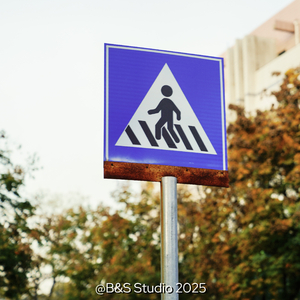 Moonlike Smile(皎洁的笑颜)