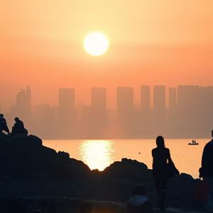 寂静森林的奇迹