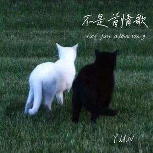 不是首情歌(Prod.By K-MAX)