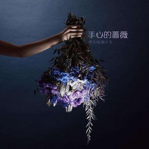 手心的蔷薇（Cover 林俊杰邓紫棋）