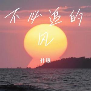 不必追的风