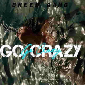 Go Crazy