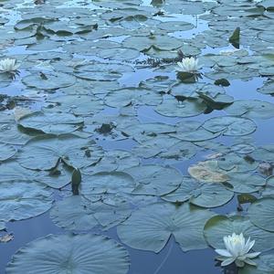 almost (Don't Leave)