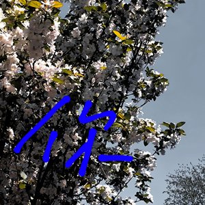 你對未來的期盼像是從那個人那買來的