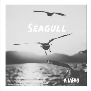 Seagull