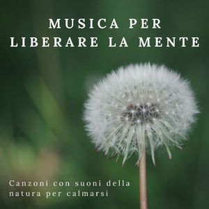 Chiarire la mente