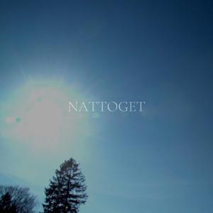 Nattoget
