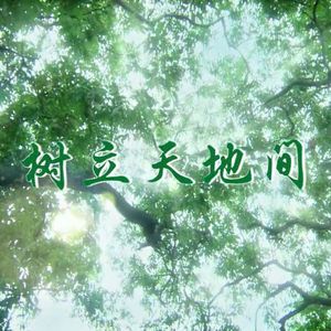 树立天地间
