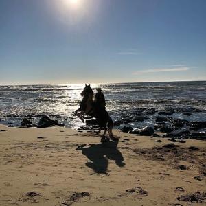 Havana-I Lost You（VaSka remix）