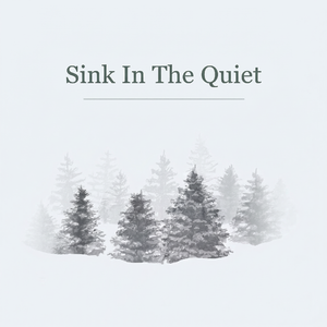 Sink In The Quiet