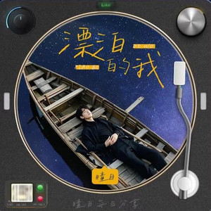漂泊的我