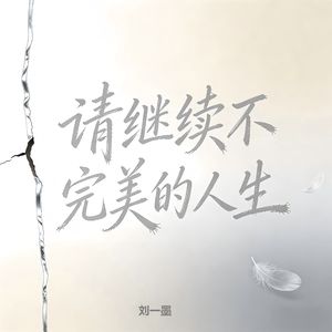 请继续不完美的人生