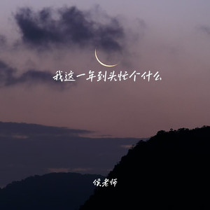 我这一年到头忙个什么