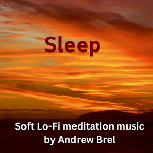 Sleeping on a Moonlit Beach