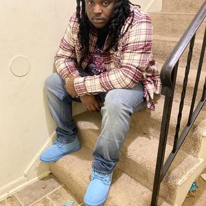 Lights Camera Action