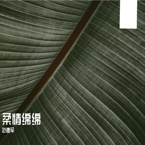 柔情绵绵PROD BY 金桔0RANG3