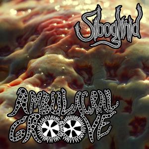 Ambulacral Groove