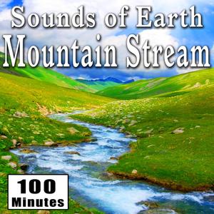 Quick Moving Small Mountain Stream Close Up (Water Ambience Sound Effects)