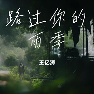路过你的雨季