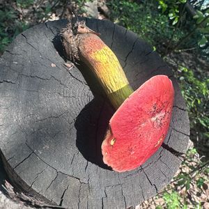 我没k