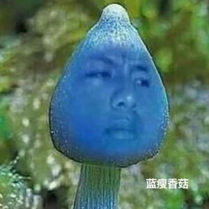 蓝瘦香菇