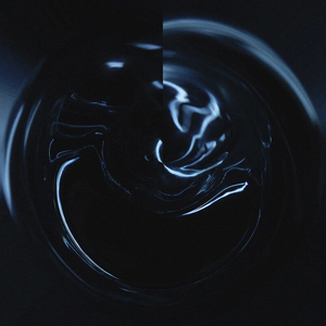 Vision