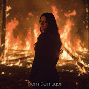 Yerin Dolmuyor