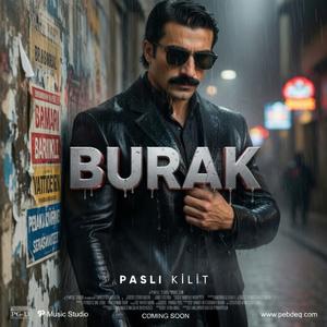Paslı Kilit