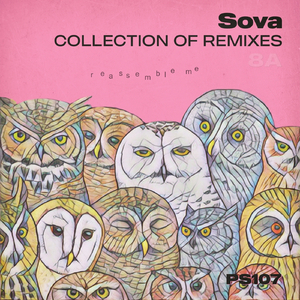 Sova (Leo Karper Sunrise Remix)