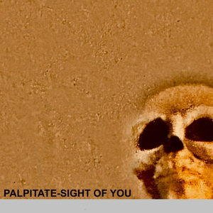 Sight of You