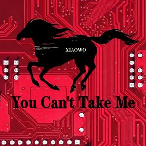 You Can't Take Me